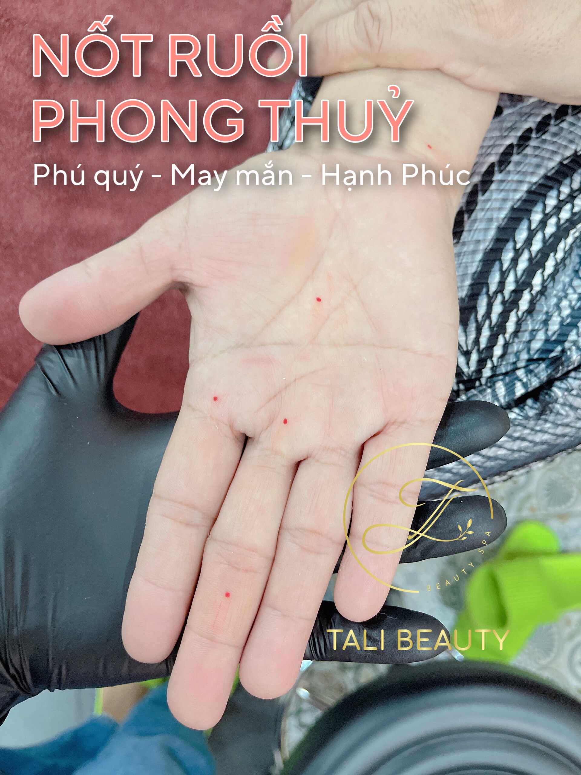 Xem Ảnh Lớn