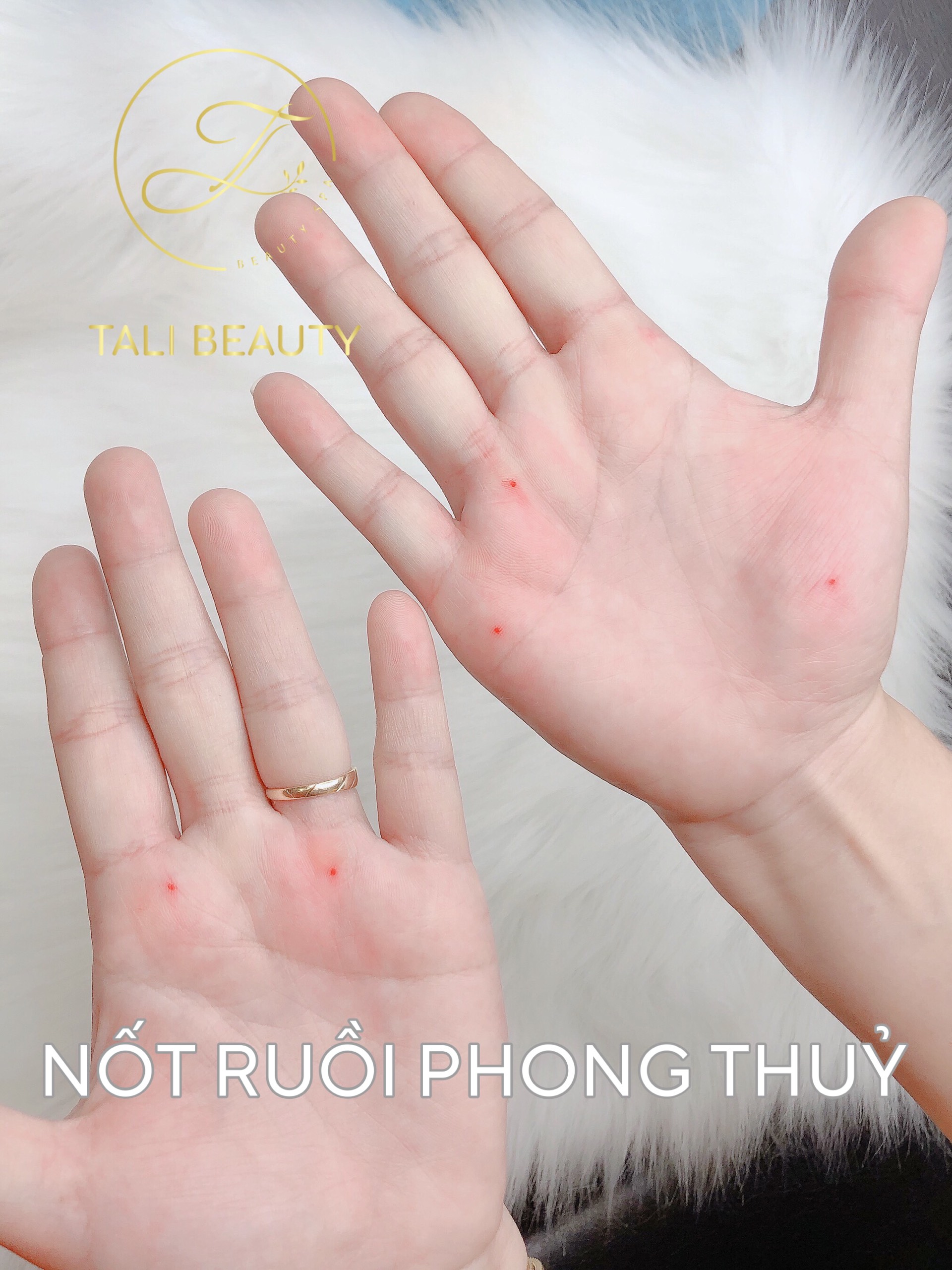 Xem Ảnh Lớn