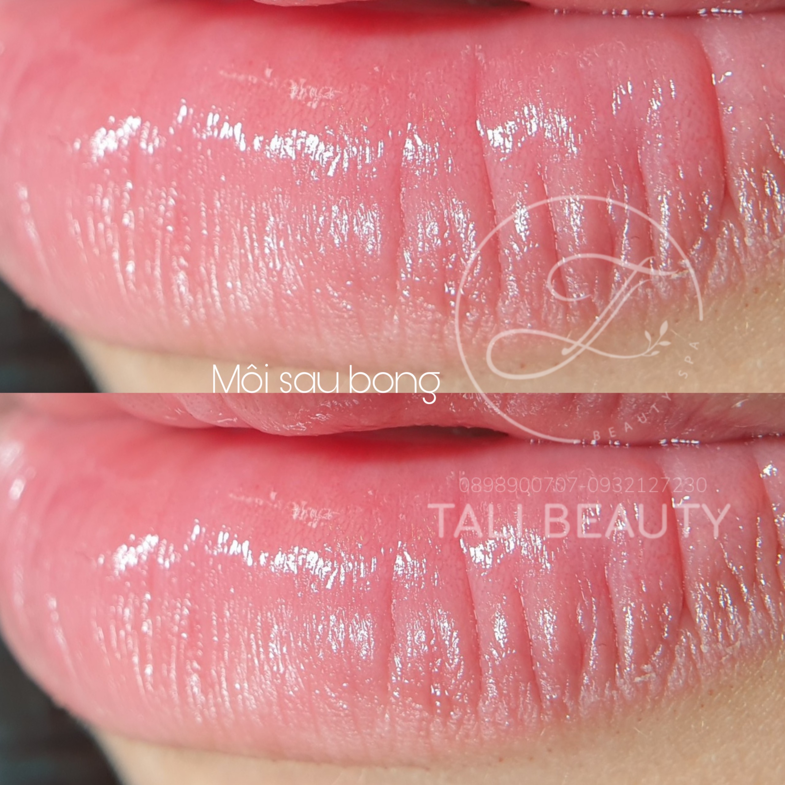 Xem Ảnh Lớn