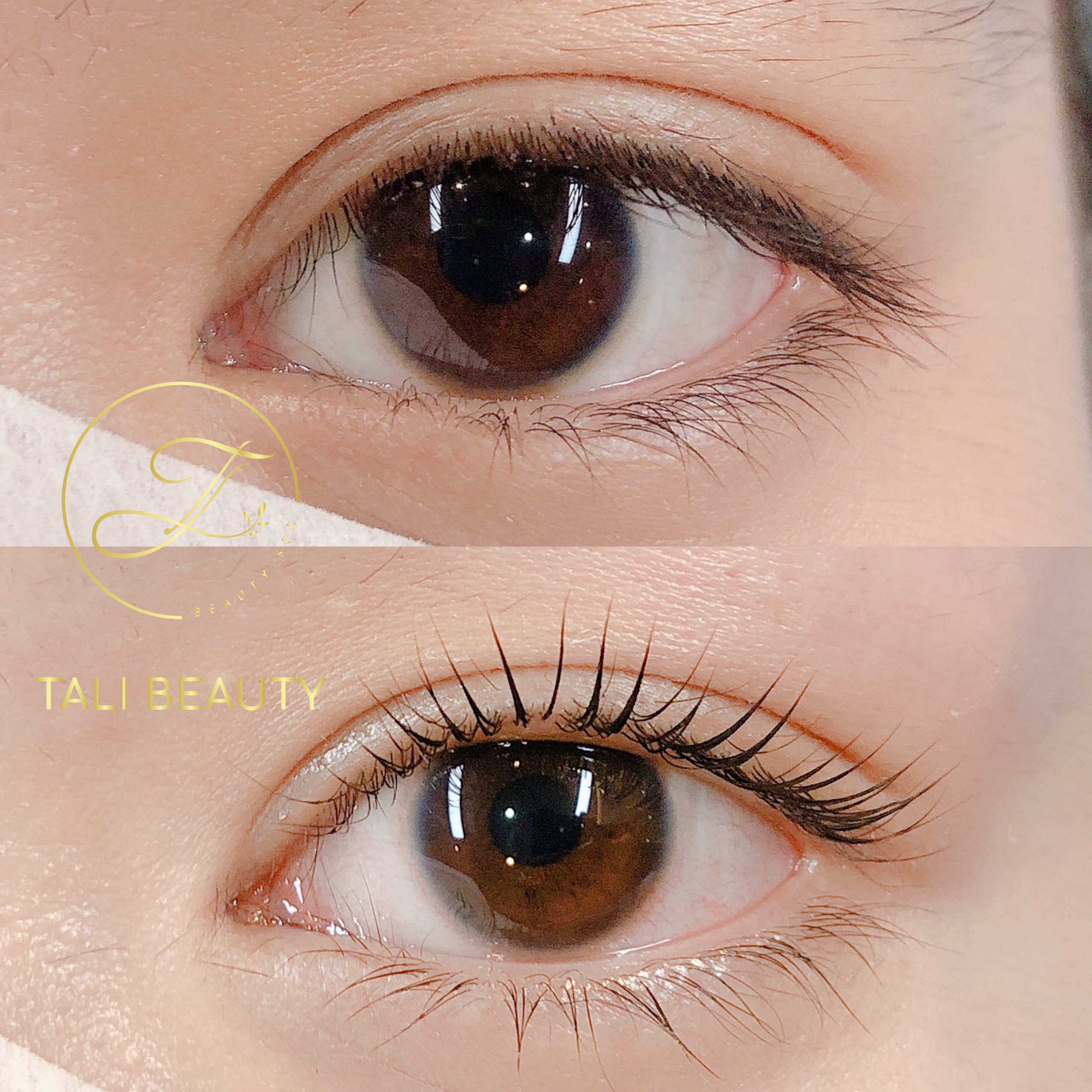 Xem Ảnh Lớn