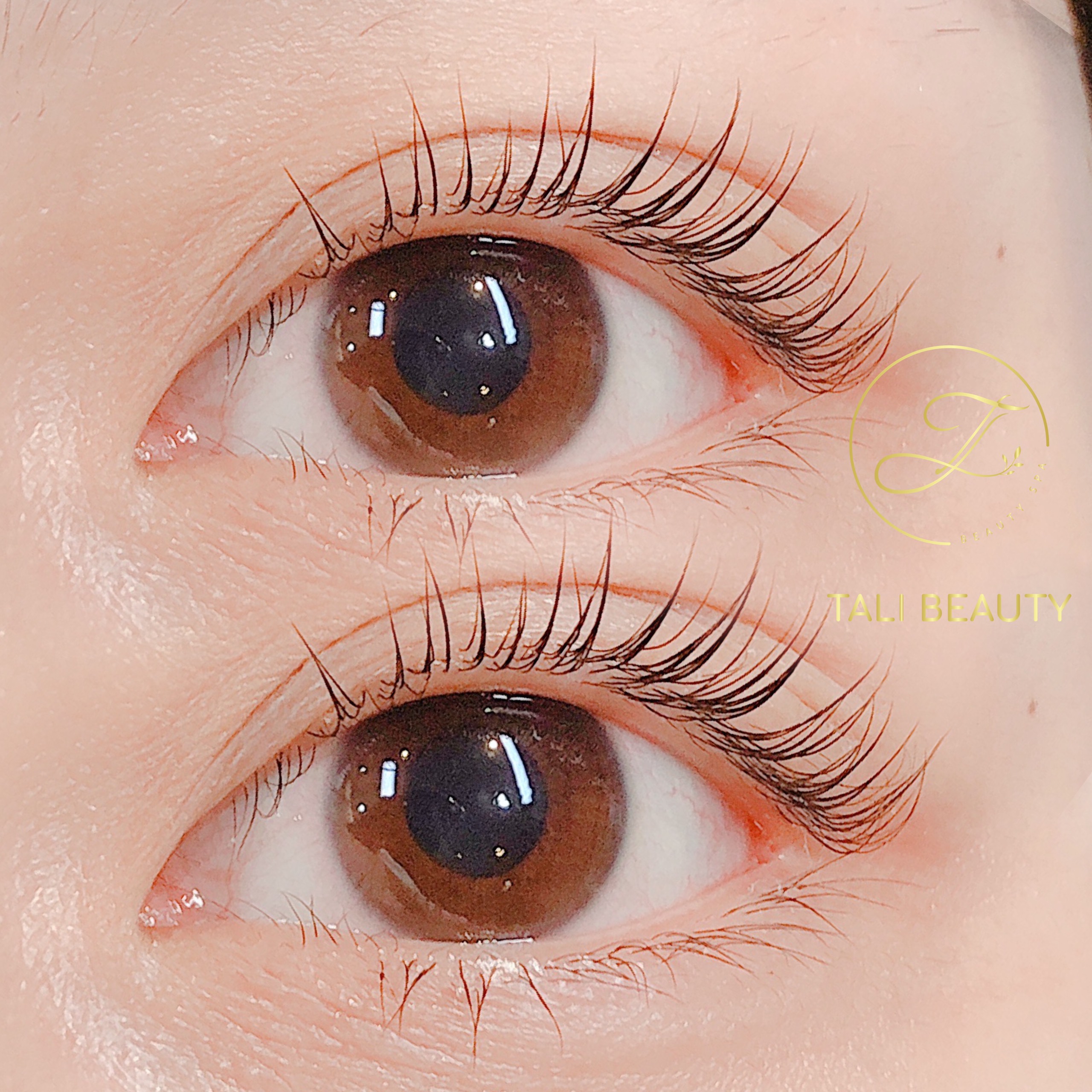 Xem Ảnh Lớn