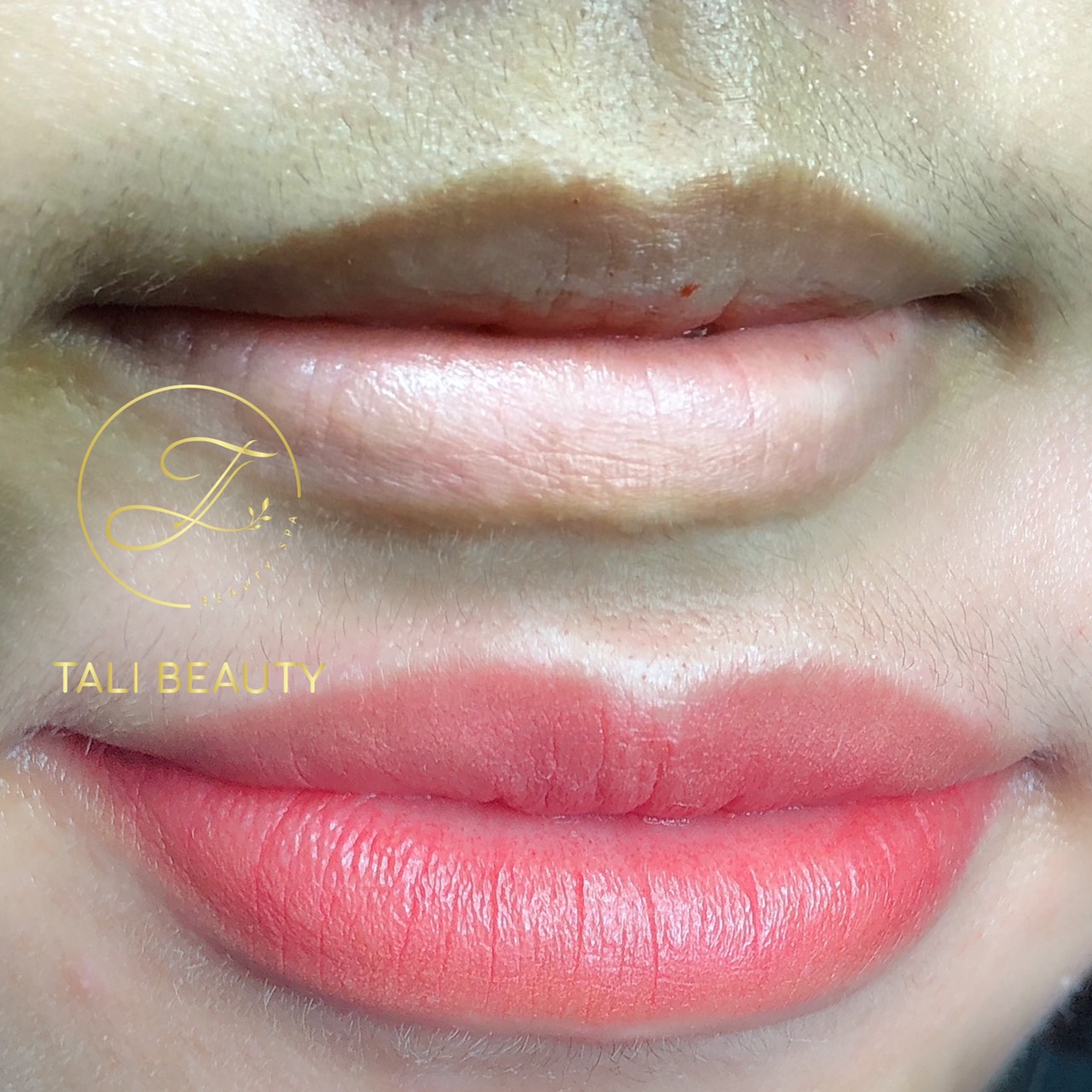 Phun Môi Candy Lip L-Lips Tali Beauty – Làn Môi Tươi Tắn, Tự Nhiên Quyến Rũ