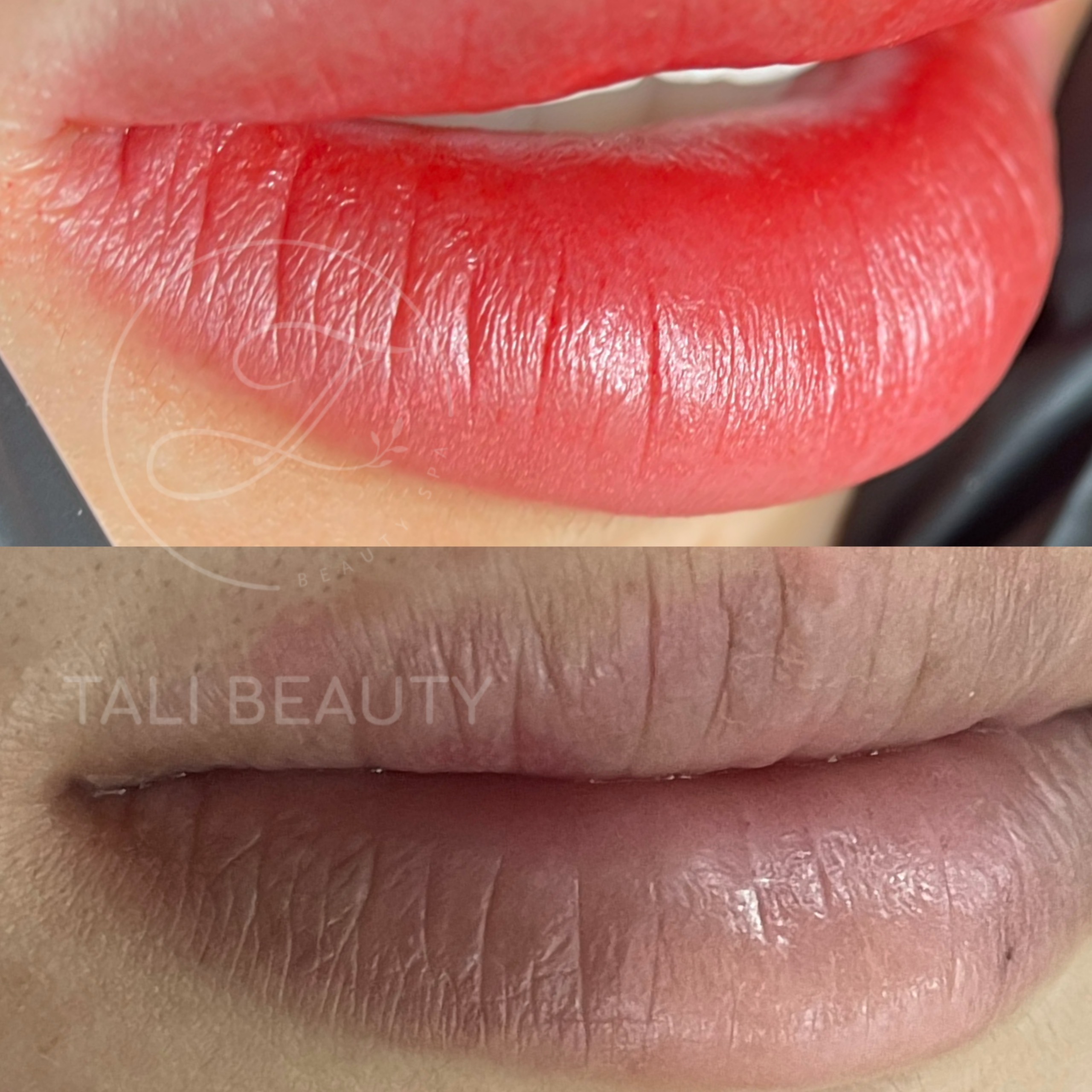 Phun Môi Candy Lip L-Lips Tali Beauty – Làn Môi Tươi Tắn, Tự Nhiên Quyến Rũ