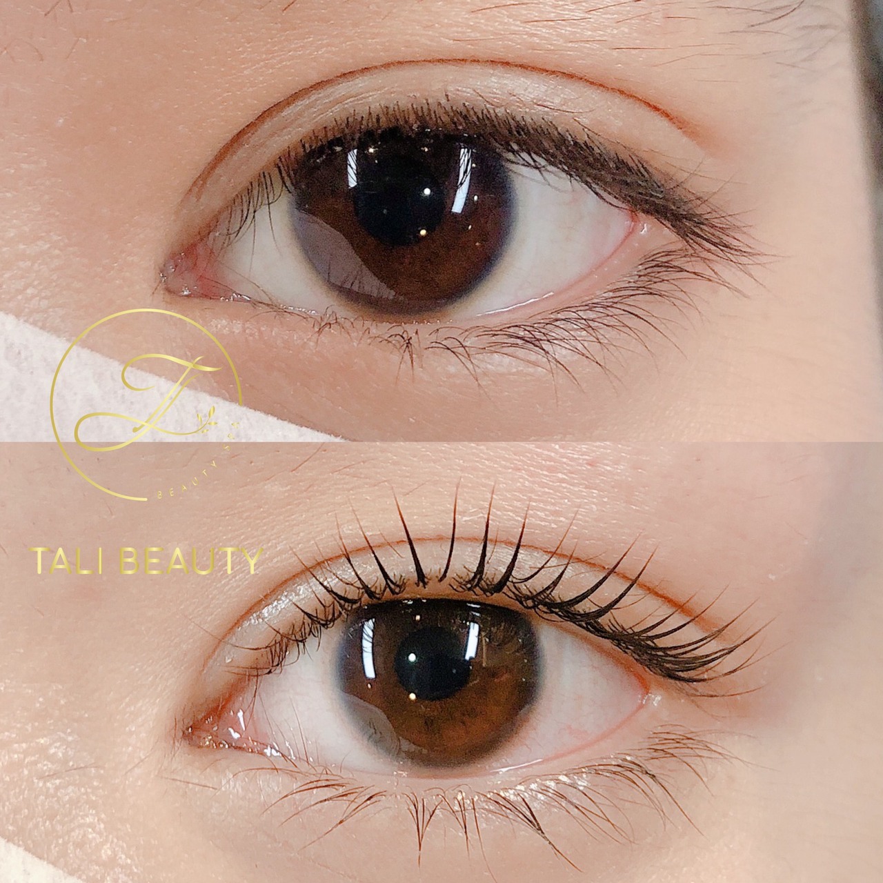 Xem Ảnh Lớn